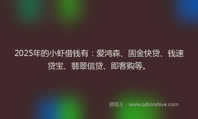2025年的小虾借钱有：爱鸿森、固金快贷、钱速贷宝、翡翠信贷、即客购等。