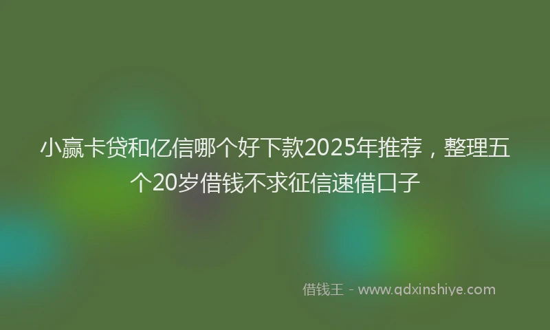 小赢卡贷和亿信哪个好下款2025年推荐，整理五个20岁借钱不求征信速借口子