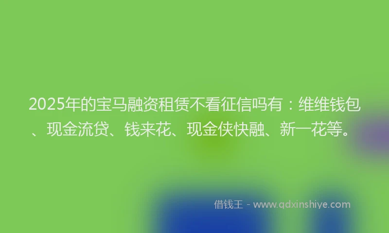 2025年的宝马融资租赁不看征信吗有：维维钱包、现金流贷、钱来花、现金侠快融、新一花等。