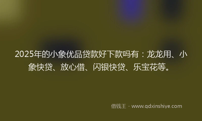 2025年的小象优品贷款好下款吗有：龙龙用、小象快贷、放心借、闪银快贷、乐宝花等。
