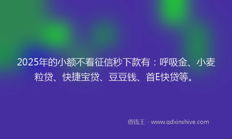 2025年的小额不看征信秒下款有：呼吸金、小麦粒贷、快捷宝贷、豆豆钱、首E快贷等。