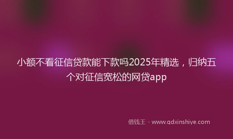 小额不看征信贷款能下款吗2025年精选，归纳五个对征信宽松的网贷app