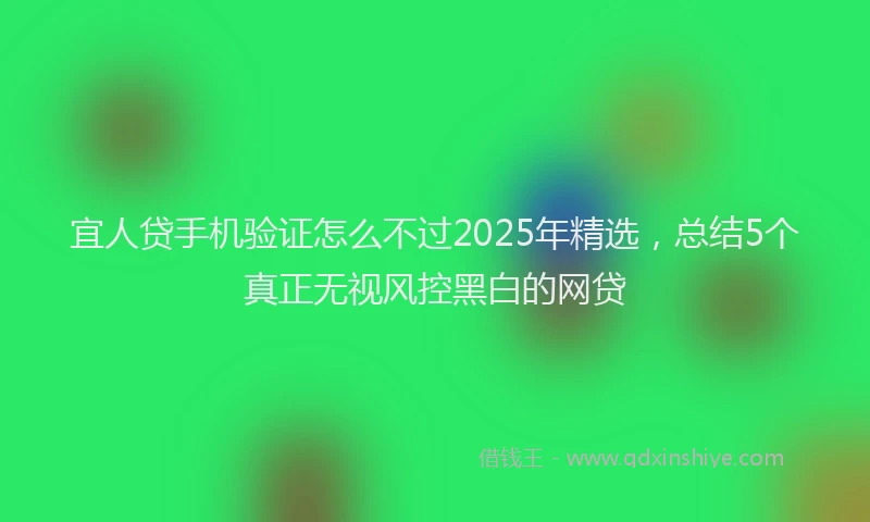宜人贷手机验证怎么不过2025年精选，总结5个真正无视风控黑白的网贷