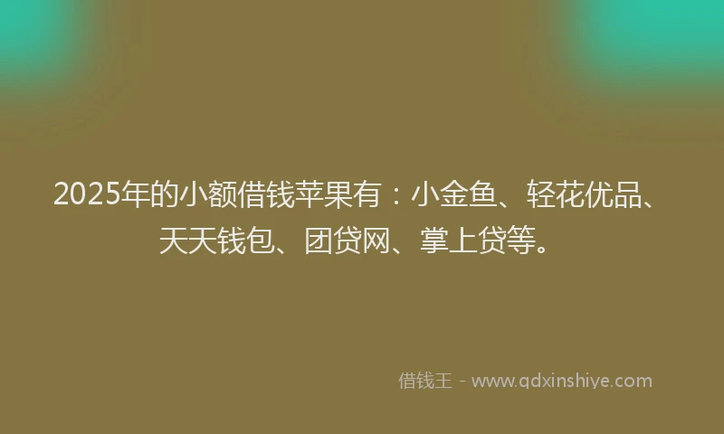2025年的小额借钱苹果有：小金鱼、轻花优品、天天钱包、团贷网、掌上贷等。