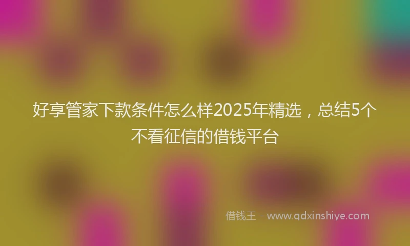 好享管家下款条件怎么样2025年精选，总结5个不看征信的借钱平台