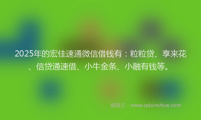 2025年的宏佳速通微信借钱有：粒粒贷、享来花、信贷通速借、小牛金条、小融有钱等。