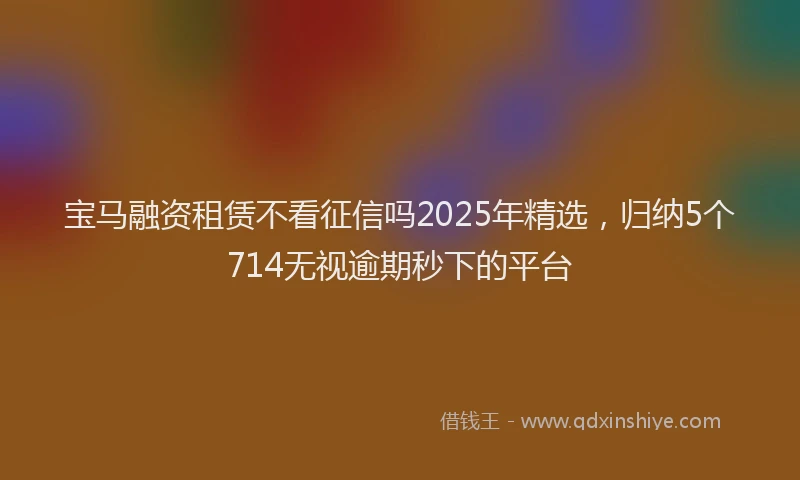 宝马融资租赁不看征信吗2025年精选，归纳5个714无视逾期秒下的平台