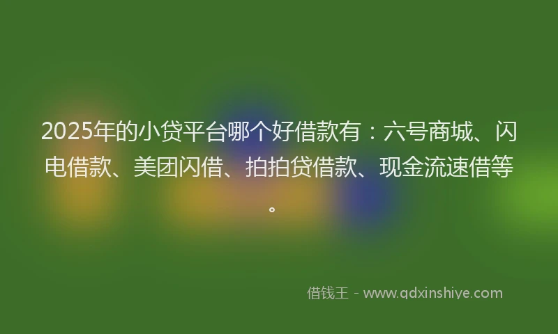 2025年的小贷平台哪个好借款有：六号商城、闪电借款、美团闪借、拍拍贷借款、现金流速借等。