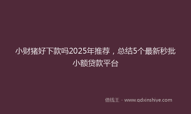 小财猪好下款吗2025年推荐，总结5个最新秒批小额贷款平台
