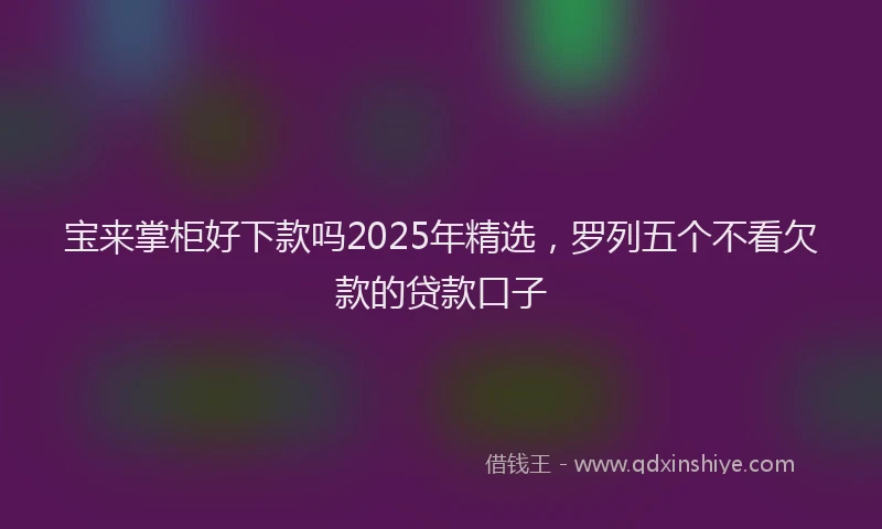 宝来掌柜好下款吗2025年精选，罗列五个不看欠款的贷款口子