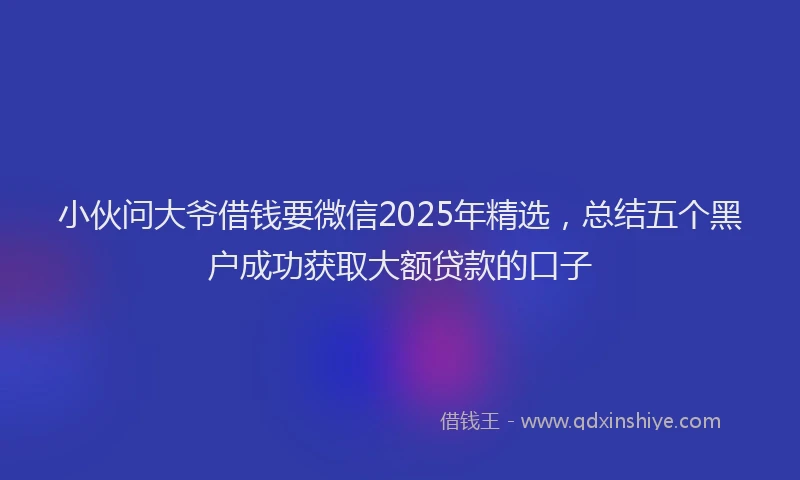 小伙问大爷借钱要微信2025年精选，总结五个黑户成功获取大额贷款的口子
