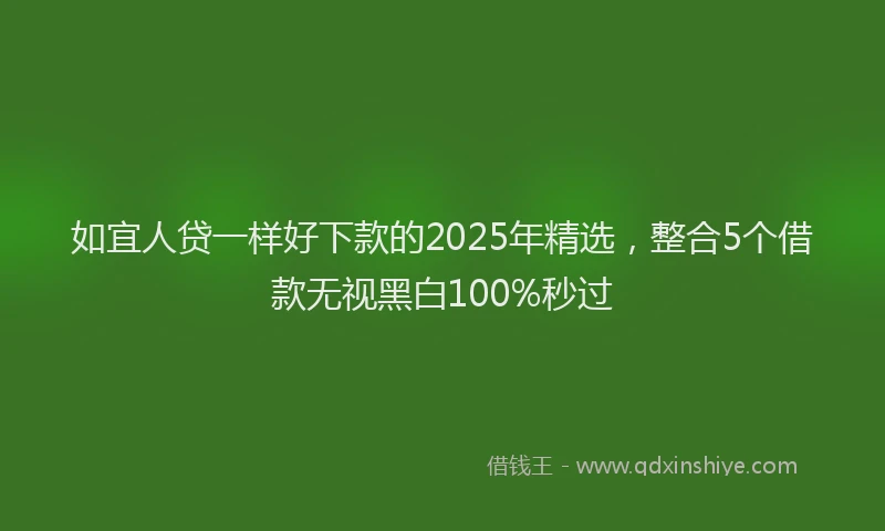 如宜人贷一样好下款的2025年精选，整合5个借款无视黑白100%秒过