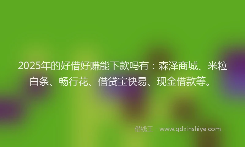 2025年的好借好赚能下款吗有：森泽商城、米粒白条、畅行花、借贷宝快易、现金借款等。