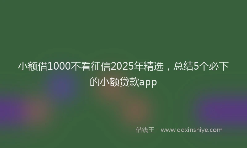 小额借1000不看征信2025年精选,总结5个必下的小额贷款app