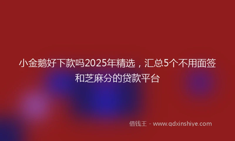 小金鹅好下款吗2025年精选，汇总5个不用面签和芝麻分的贷款平台