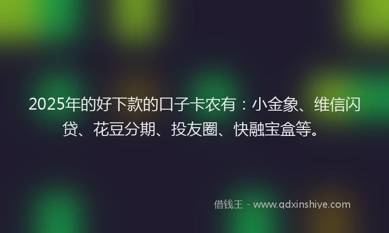 2025年的好下款的口子卡农有：小金象、维信闪贷、花豆分期、投友圈、快融宝盒等。