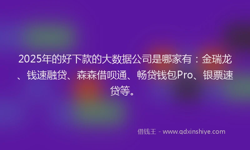 2025年的好下款的大数据公司是哪家有：金瑞龙、钱速融贷、森森借呗通、畅贷钱包Pro、银票速贷等。