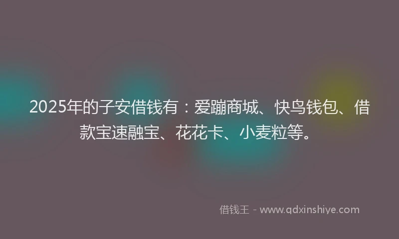 2025年的子安借钱有：爱蹦商城、快鸟钱包、借款宝速融宝、花花卡、小麦粒等。