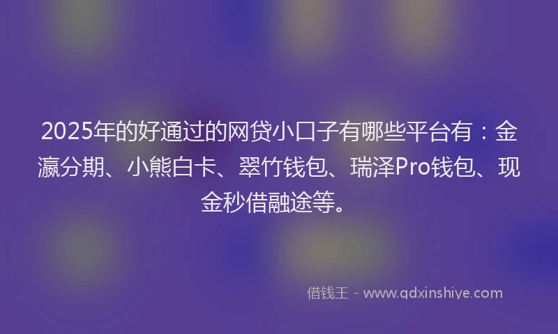 2025年的好通过的网贷小口子有哪些平台有：金瀛分期、小熊白卡、翠竹钱包、瑞泽Pro钱包、现金秒借融途等。