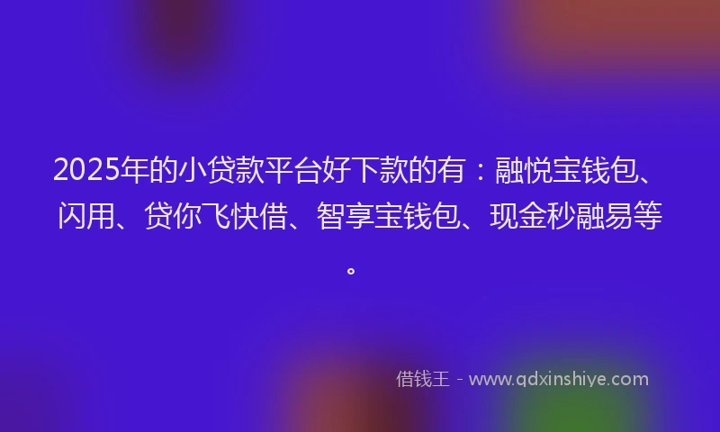 2025年的小贷款平台好下款的有：融悦宝钱包、闪用、贷你飞快借、智享宝钱包、现金秒融易等。