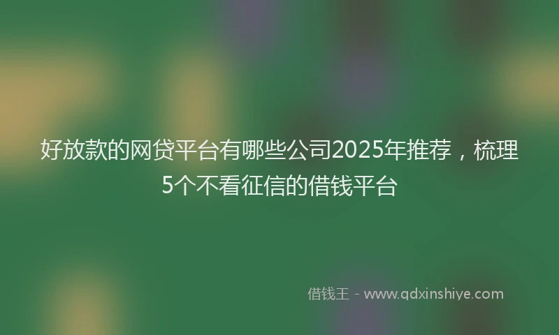 好放款的网贷平台有哪些公司2025年推荐，梳理5个不看征信的借钱平台