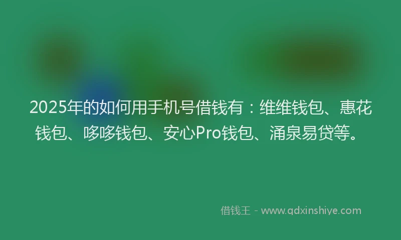 2025年的如何用手机号借钱有：维维钱包、惠花钱包、哆哆钱包、安心Pro钱包、涌泉易贷等。