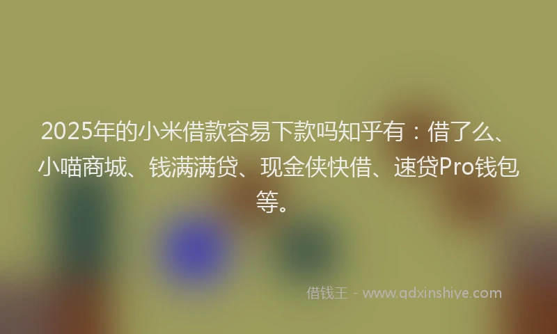 2025年的小米借款容易下款吗知乎有：借了么、小喵商城、钱满满贷、现金侠快借、速贷Pro钱包等。