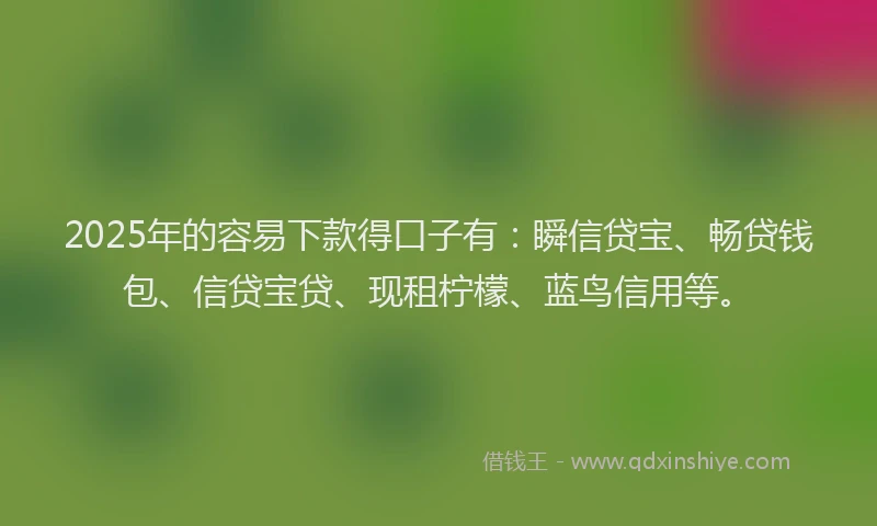 2025年的容易下款得口子有：瞬信贷宝、畅贷钱包、信贷宝贷、现租柠檬、蓝鸟信用等。