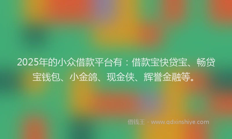 2025年的小众借款平台有：借款宝快贷宝、畅贷宝钱包、小金鸽、现金侠、辉誉金融等。