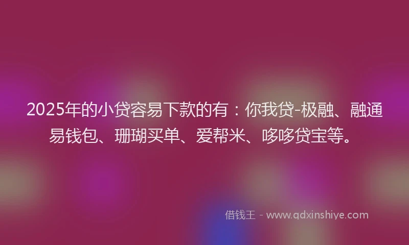 2025年的小贷容易下款的有：你我贷-极融、融通易钱包、珊瑚买单、爱帮米、哆哆贷宝等。