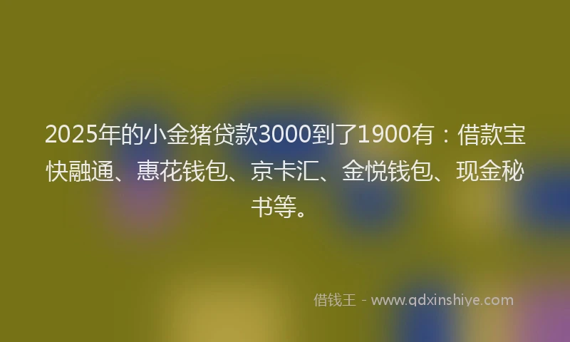 2025年的小金猪贷款3000到了1900有：借款宝快融通、惠花钱包、京卡汇、金悦钱包、现金秘书等。