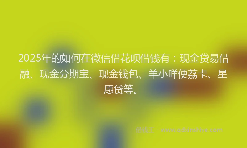 2025年的如何在微信借花呗借钱有：现金贷易借融、现金分期宝、现金钱包、羊小咩便荔卡、星愿贷等。