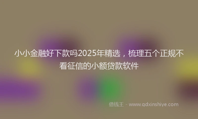 小小金融好下款吗2025年精选，梳理五个正规不看征信的小额贷款软件