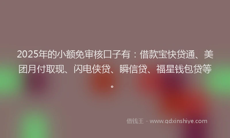 2025年的小额免审核口子有:借款宝快贷通、美团月付取现、闪电侠贷、瞬信贷、福星钱包贷等。