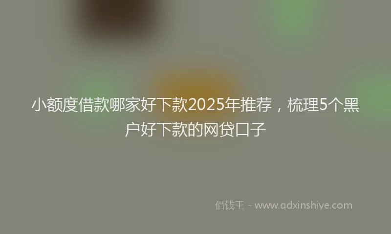 小额度借款哪家好下款2025年推荐，梳理5个黑户好下款的网贷口子