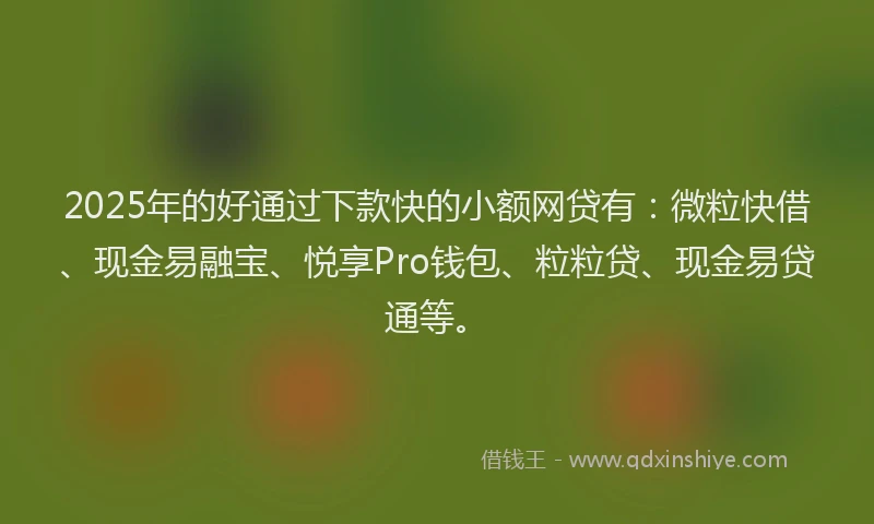 2025年的好通过下款快的小额网贷有：微粒快借、现金易融宝、悦享Pro钱包、粒粒贷、现金易贷通等。