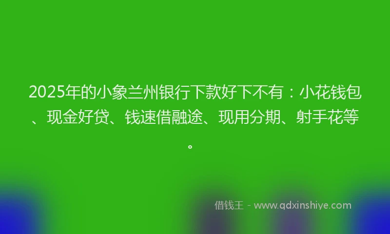 2025年的小象兰州银行下款好下不有：小花钱包、现金好贷、钱速借融途、现用分期、射手花等。