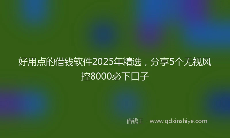 好用点的借钱软件2025年精选，分享5个无视风控8000必下口子