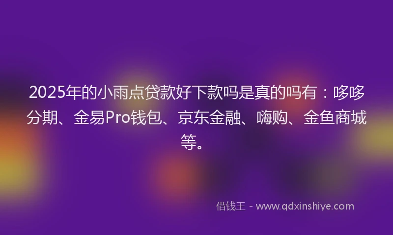 2025年的小雨点贷款好下款吗是真的吗有：哆哆分期、金易Pro钱包、京东金融、嗨购、金鱼商城等。