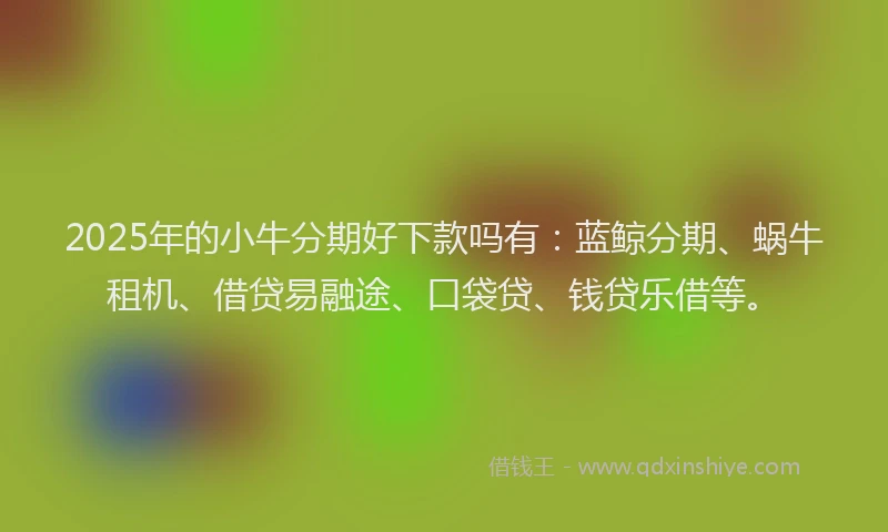 2025年的小牛分期好下款吗有：蓝鲸分期、蜗牛租机、借贷易融途、口袋贷、钱贷乐借等。