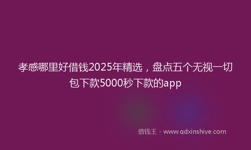 孝感哪里好借钱2025年精选，盘点五个无视一切包下款5000秒下款的app
