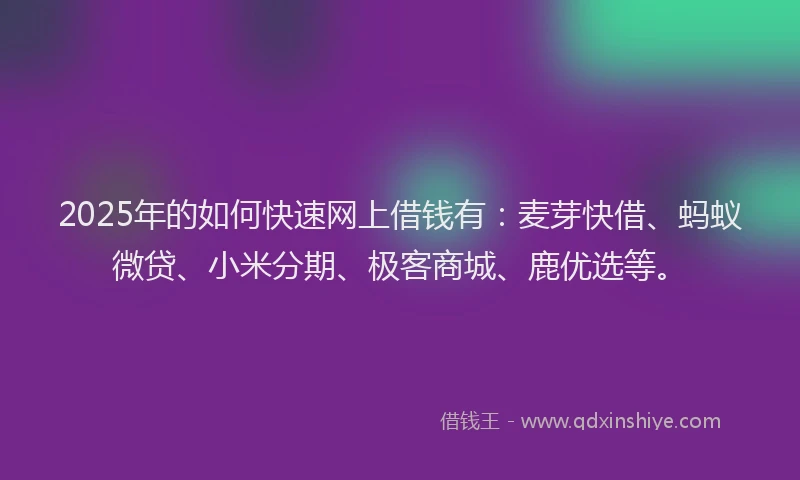 2025年的如何快速网上借钱有：麦芽快借、蚂蚁微贷、小米分期、极客商城、鹿优选等。