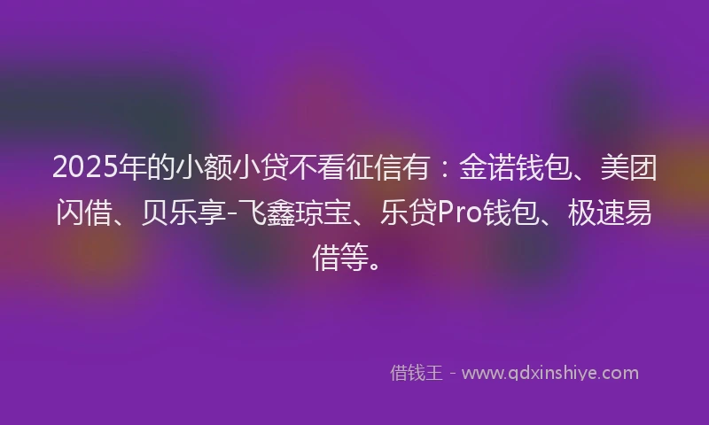 2025年的小额小贷不看征信有：金诺钱包、美团闪借、贝乐享-飞鑫琼宝、乐贷Pro钱包、极速易借等。