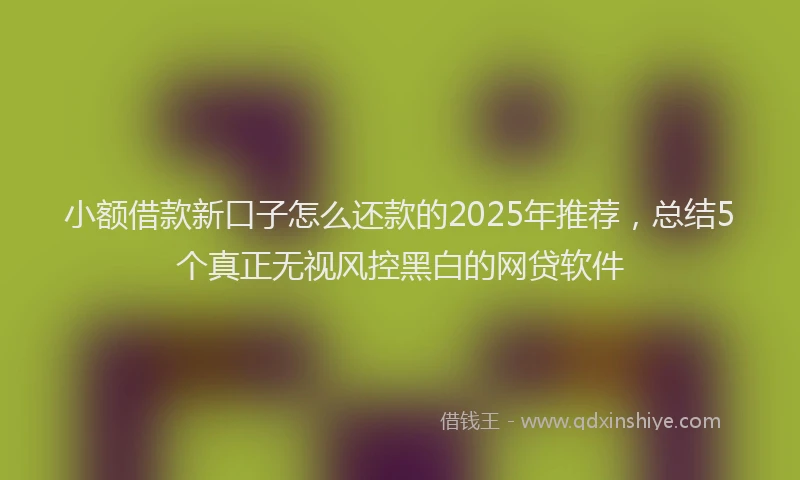 小额借款新口子怎么还款的2025年推荐，总结5个真正无视风控黑白的网贷软件