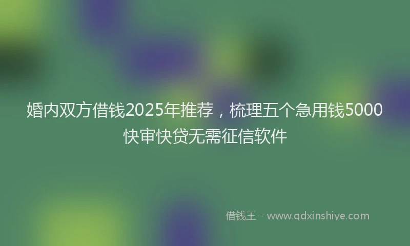 婚内双方借钱2025年推荐，梳理五个急用钱5000快审快贷无需征信软件