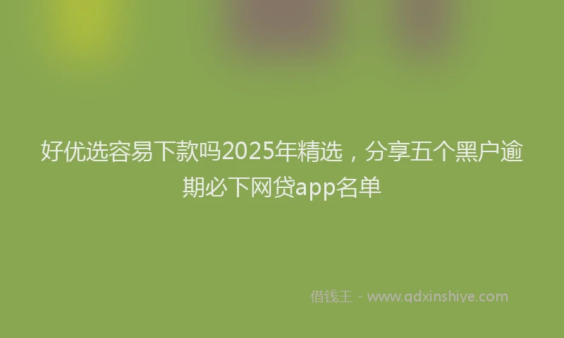 好优选容易下款吗2025年精选，分享五个黑户逾期必下网贷app名单