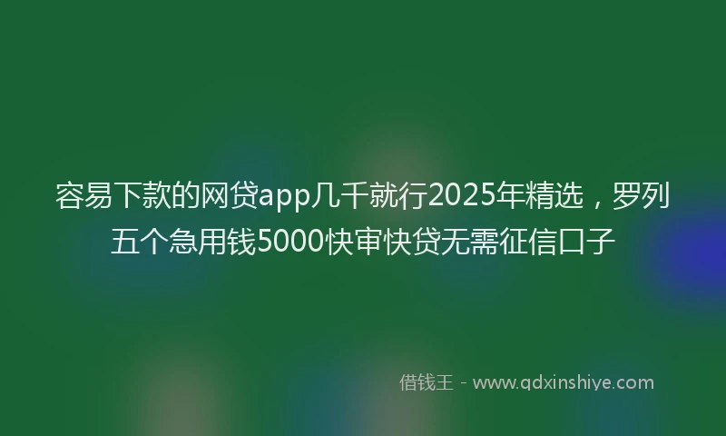 容易下款的网贷app几千就行2025年精选，罗列五个急用钱5000快审快贷无需征信口子