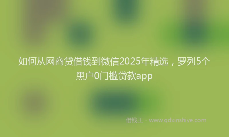如何从网商贷借钱到微信2025年精选，罗列5个黑户0门槛贷款app