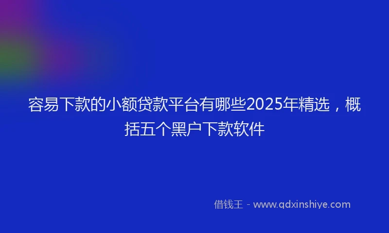 容易下款的小额贷款平台有哪些2025年精选，概括五个黑户下款软件