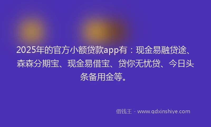 2025年的官方小额贷款app有：现金易融贷途、森森分期宝、现金易借宝、贷你无忧贷、今日头条备用金等。